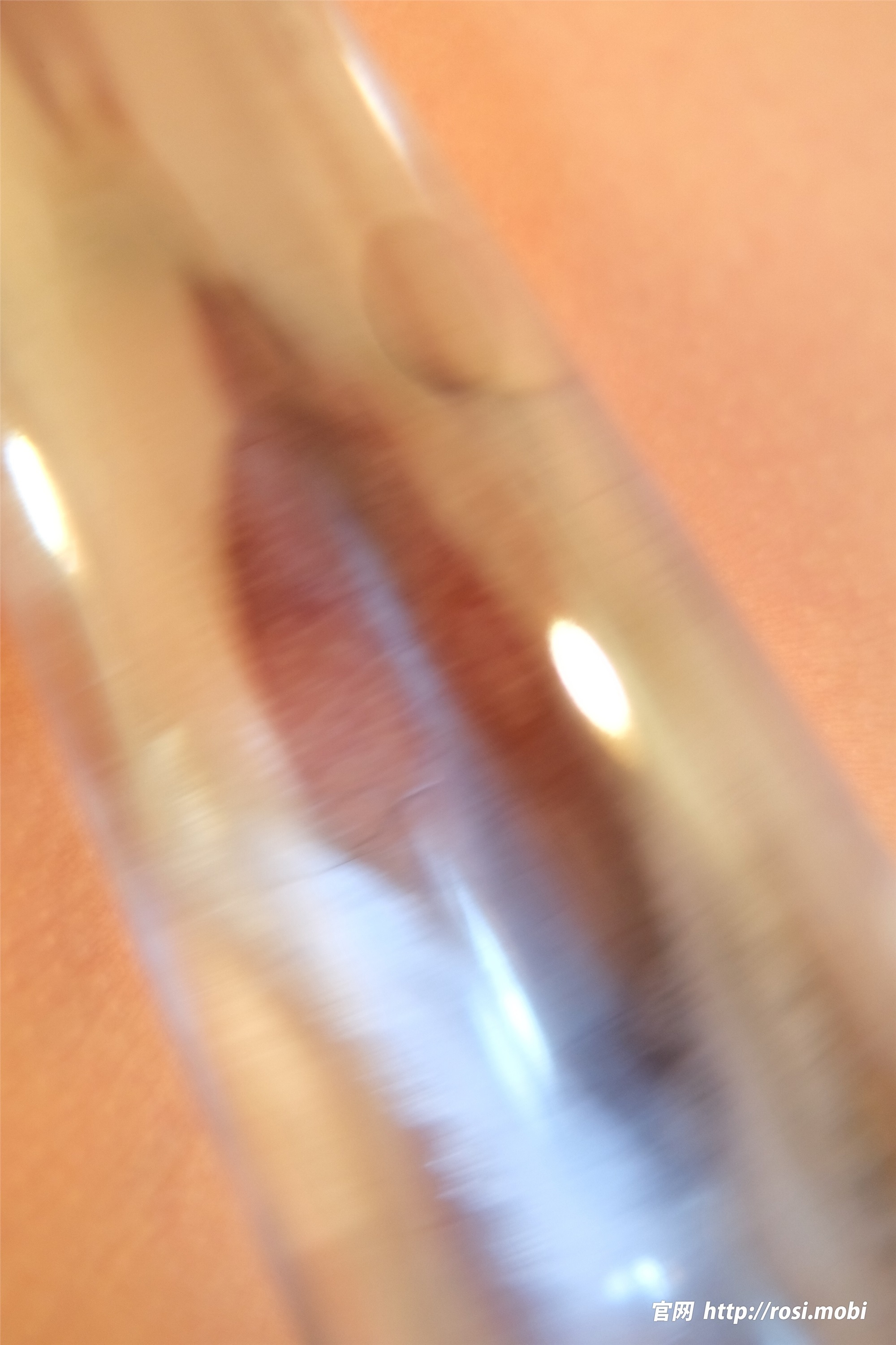 ROSI写真 2025.01.21 NO.4796